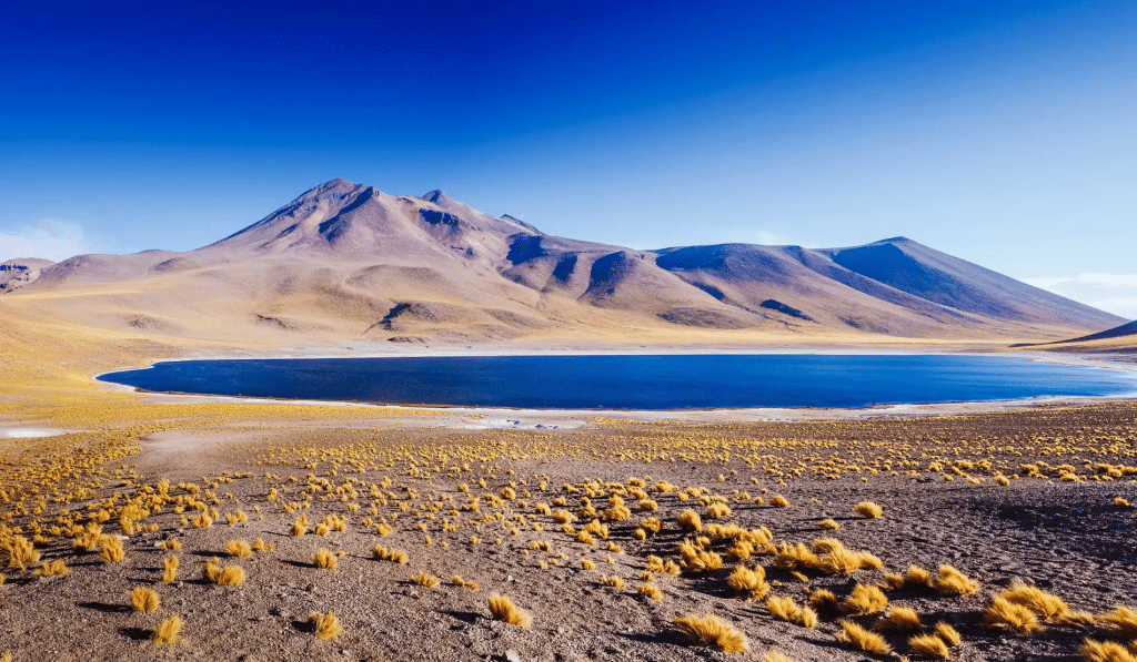 Discover the Atacama Desert in Chile: Your Ultimate Travel Guide | KMS  Travel